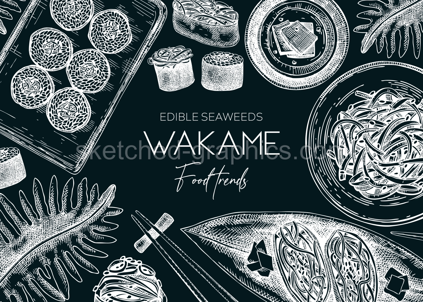 Edible seaweed background on chalkboard. Hand drawn wakame sketches. Sea vegetables vector illustrations. Japanese cuisine dishes menu. Healthy food ingredients banner in engraved style Illustration